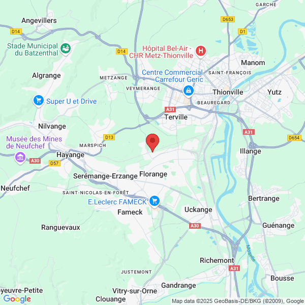 google map