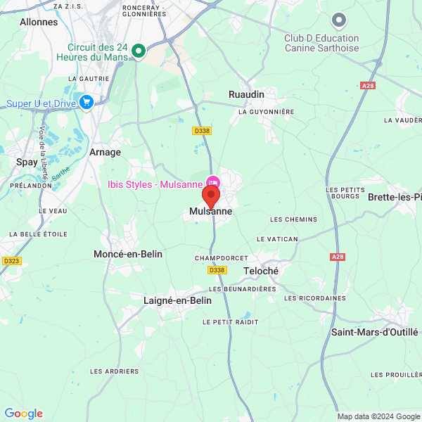 google map