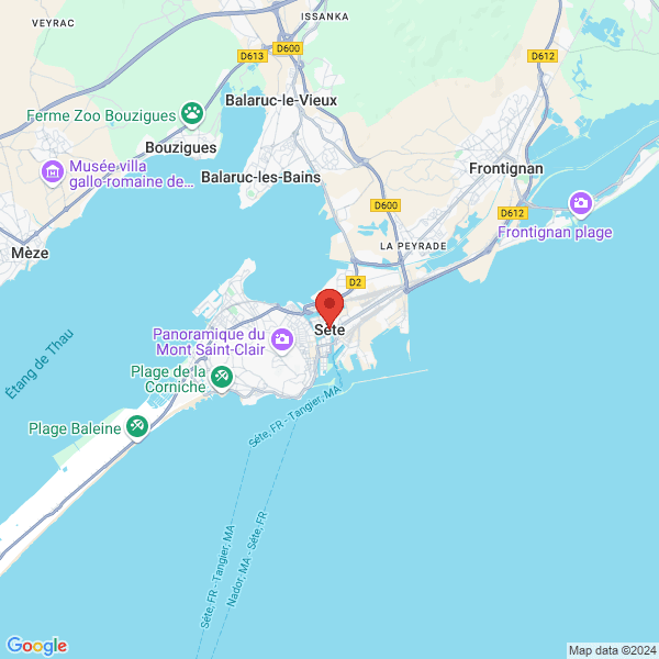 google map