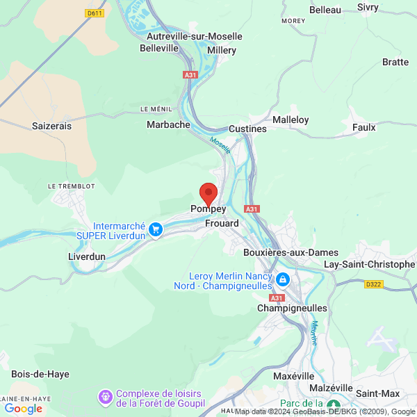 google map