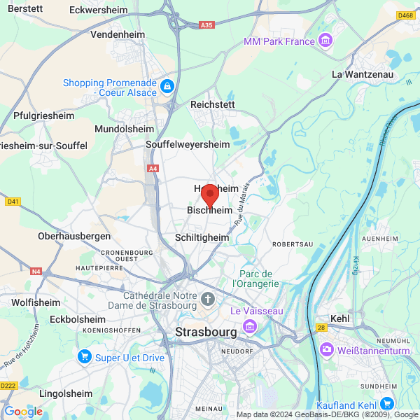 google map