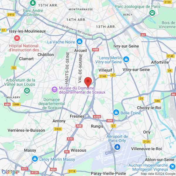 google map