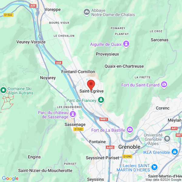 google map