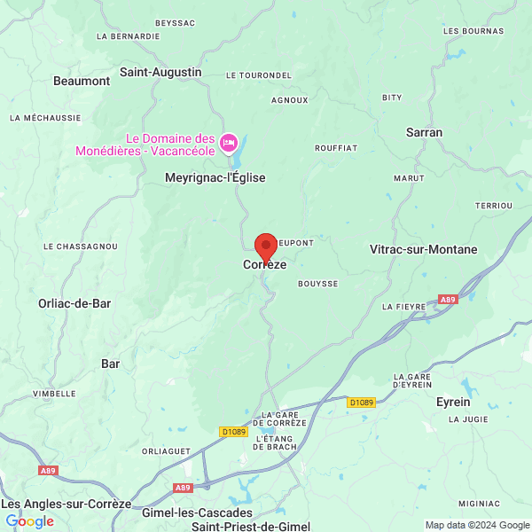 google map