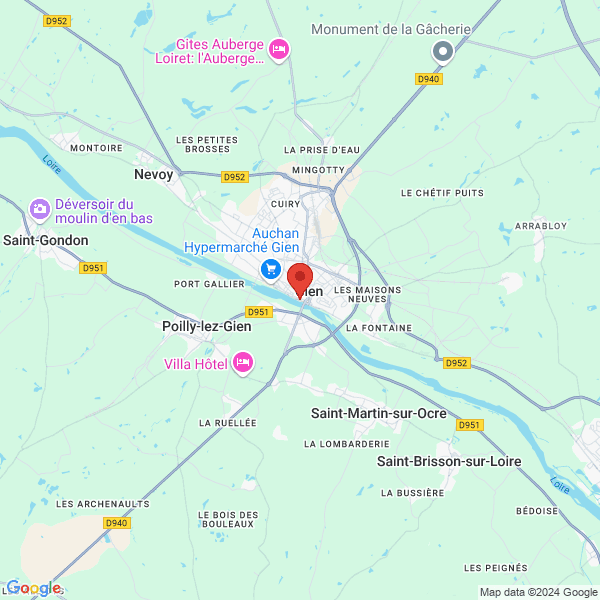 google map