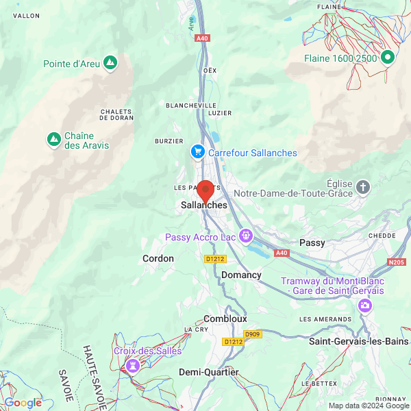 google map