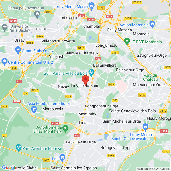 google map