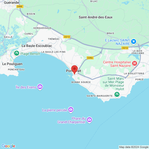 google map