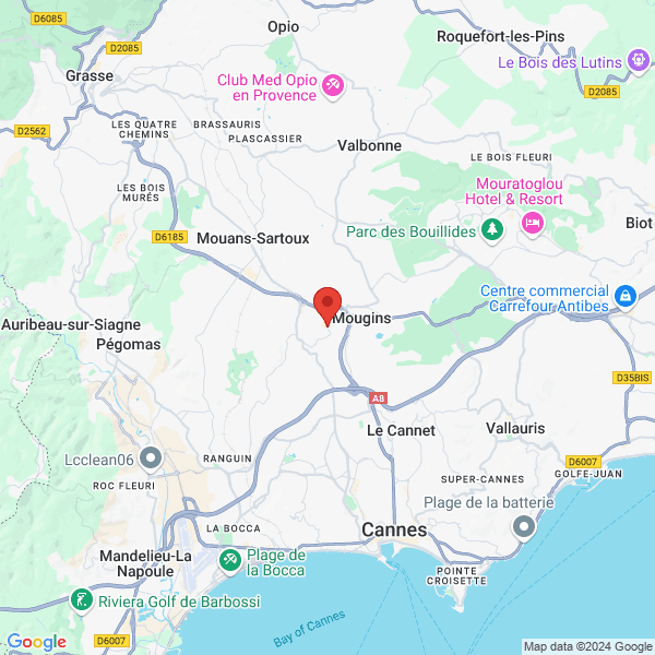 google map
