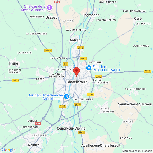google map