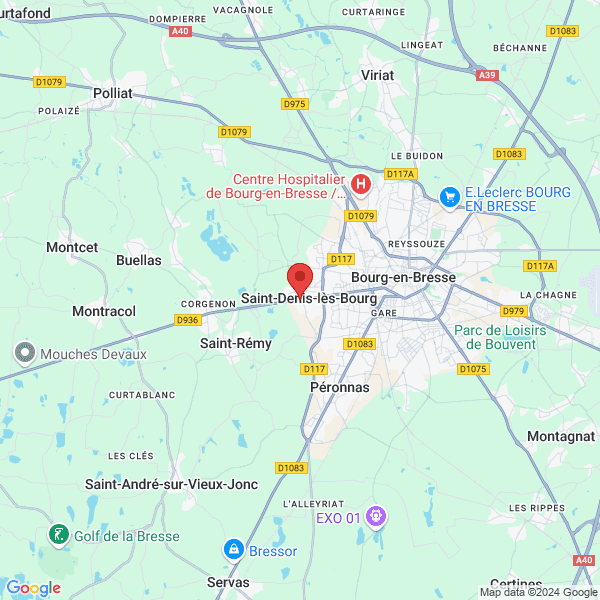google map