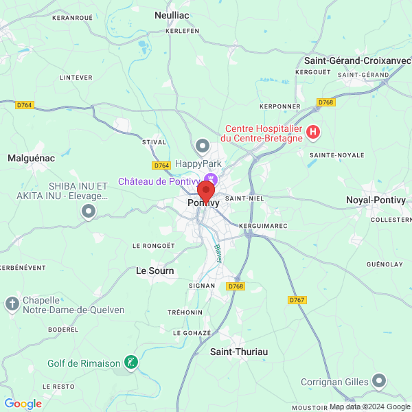 google map