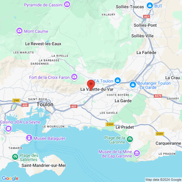 google map