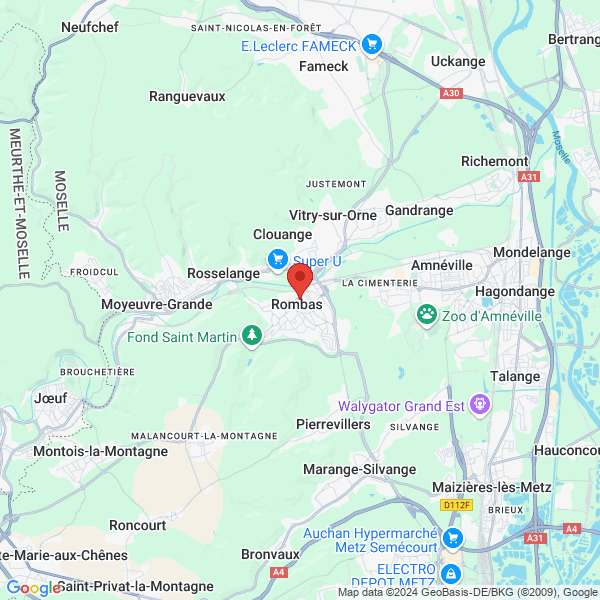 google map