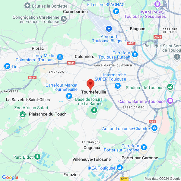 google map