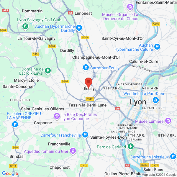 google map