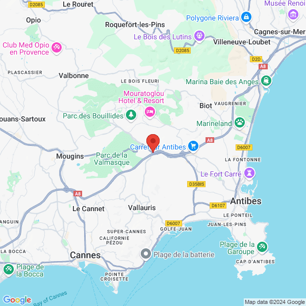 google map