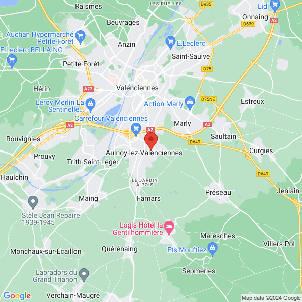 google map