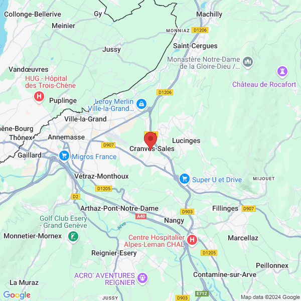 google map