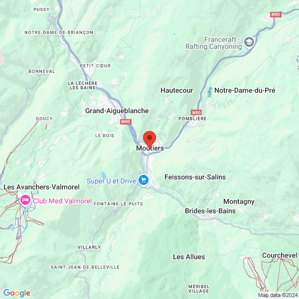 google map
