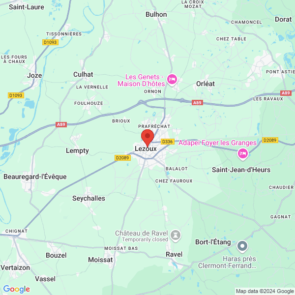 google map