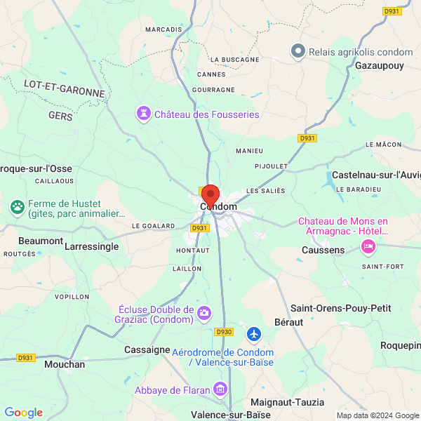 google map