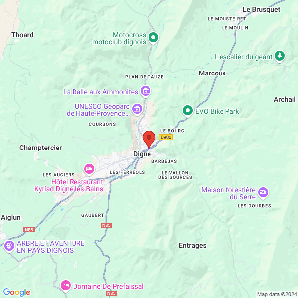 google map