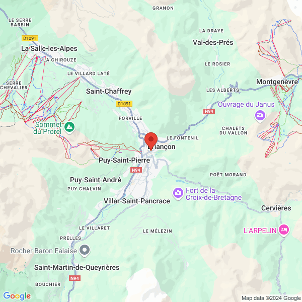 google map