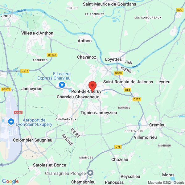 google map