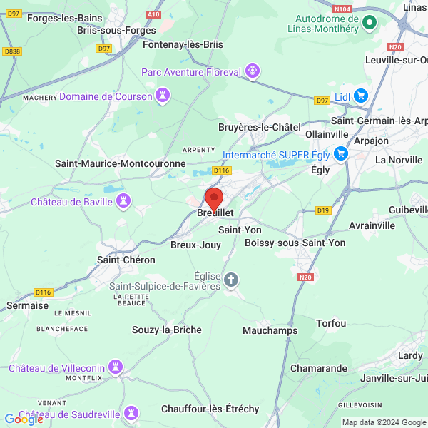 google map