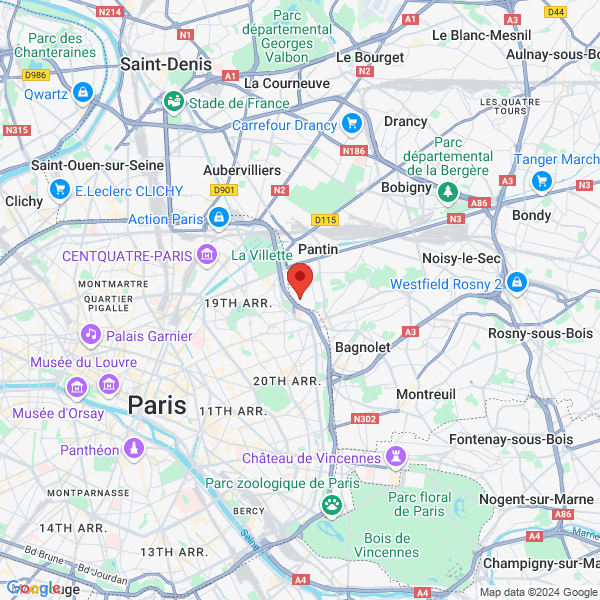 google map
