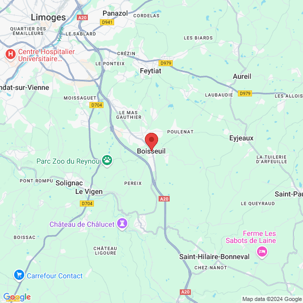 google map