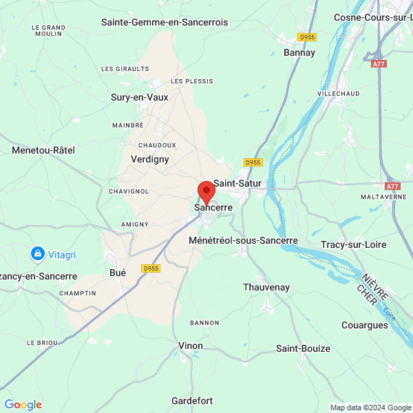 google map