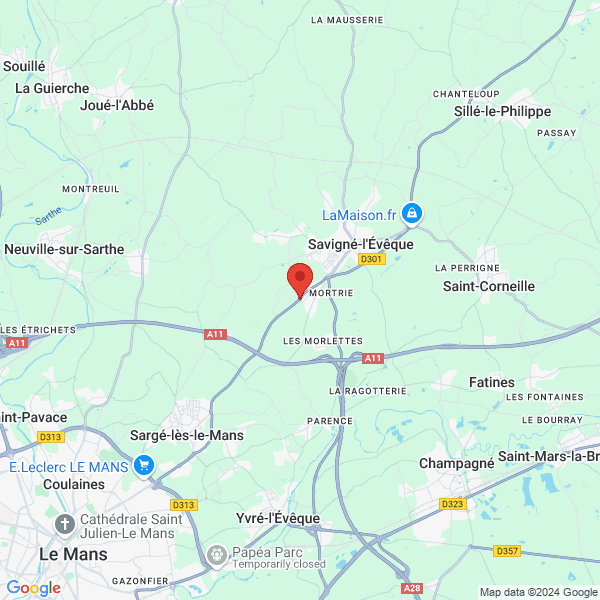 google map