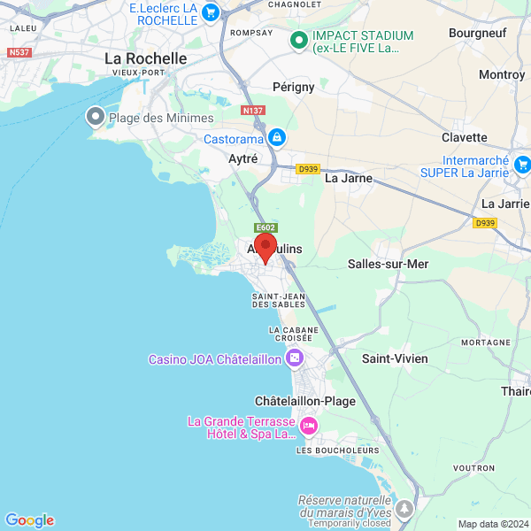 google map