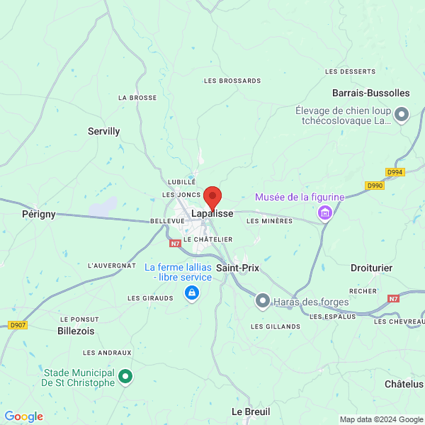 google map