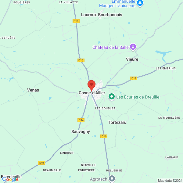 google map