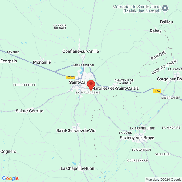 google map