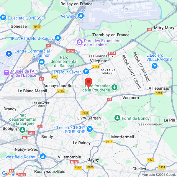 google map