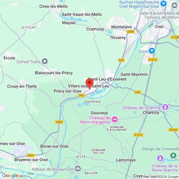 google map