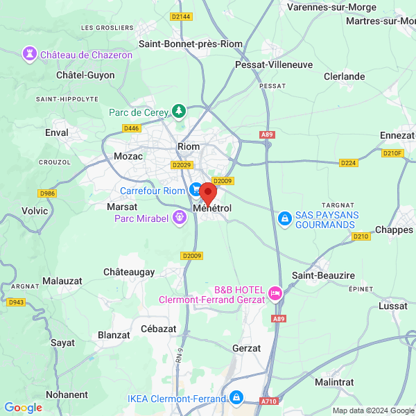 google map