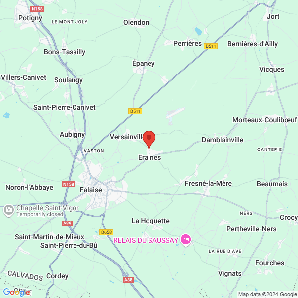 google map