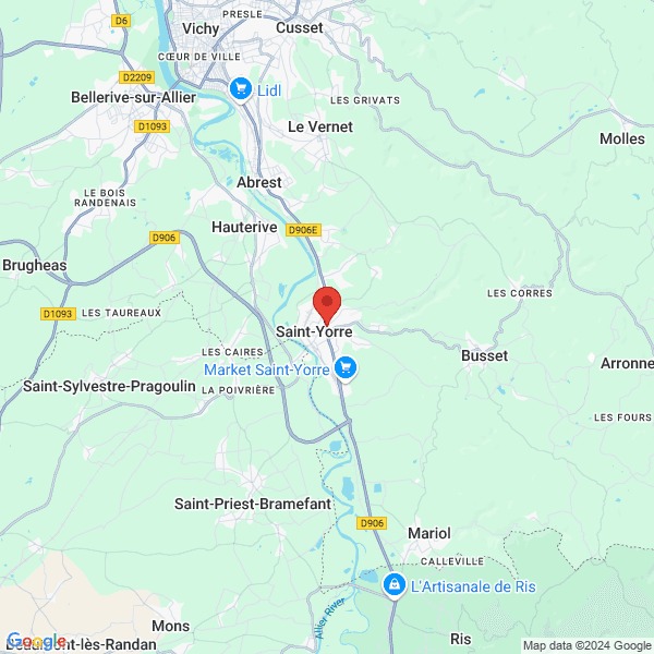 google map