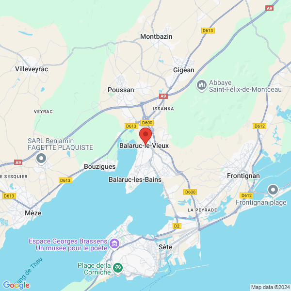 google map