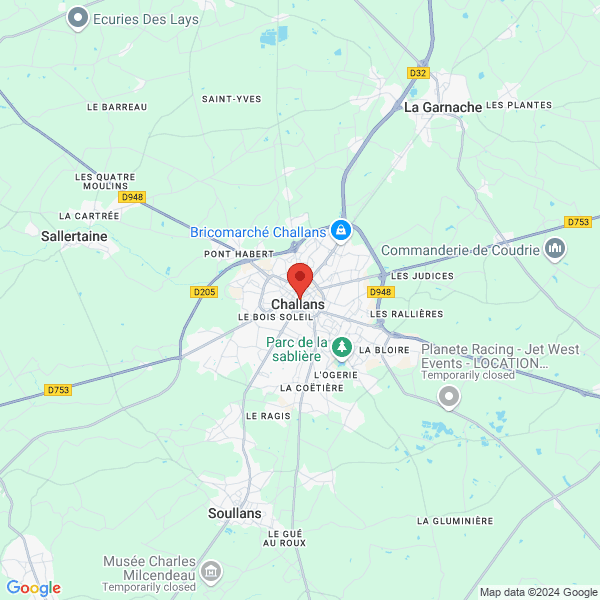 google map