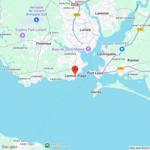 google map