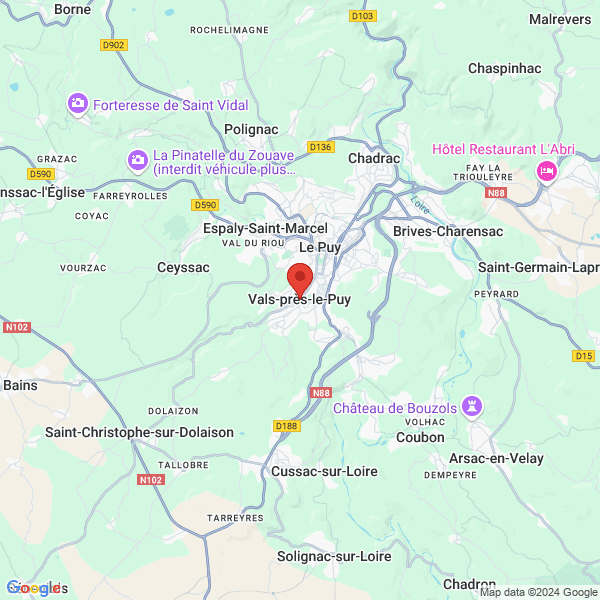 google map