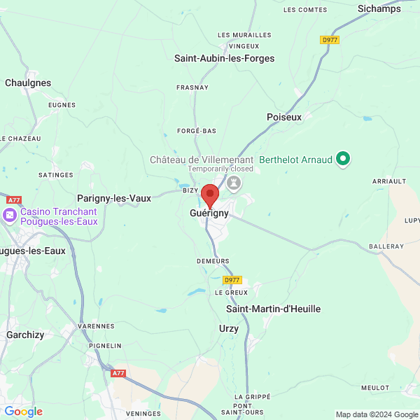google map