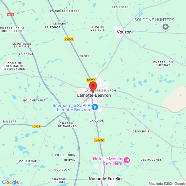 google map