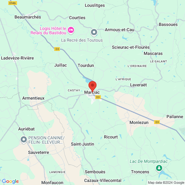 google map